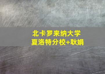 北卡罗来纳大学夏洛特分校 耿娟